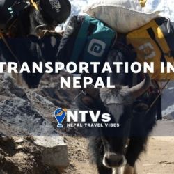 Transportation In Nepal: Choose your comfort 8 Transportation in Nepal